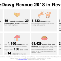 2018 year in review